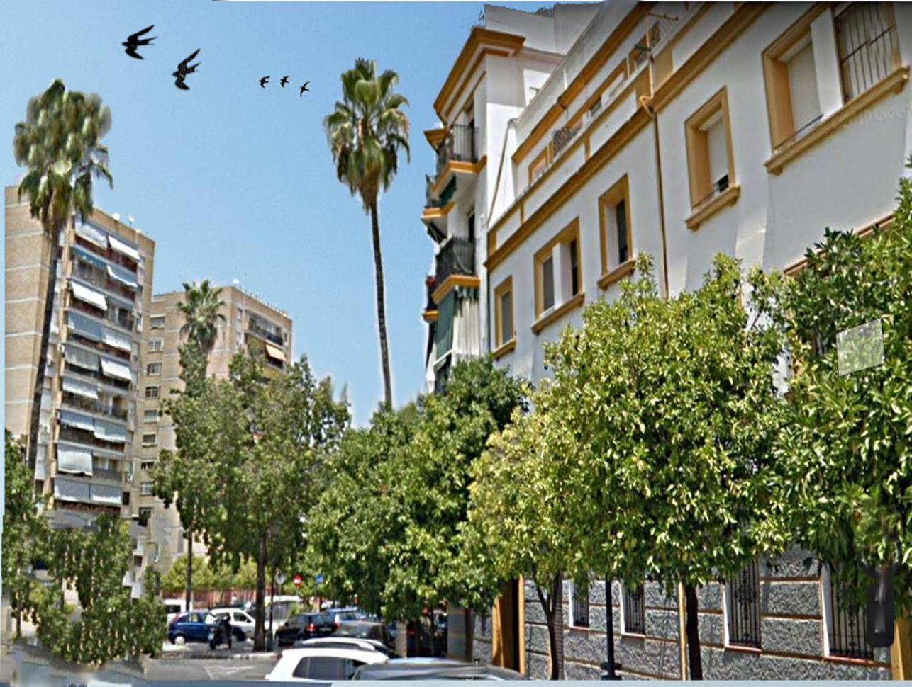 Apartamento San Juan De Dios Sevilla Eksteriør billede